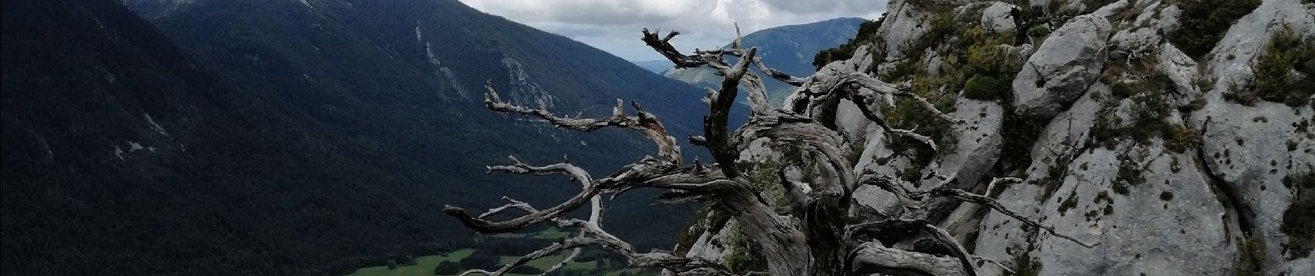 Tocht Stappen Séranon - Crêtes bauroux - Photo