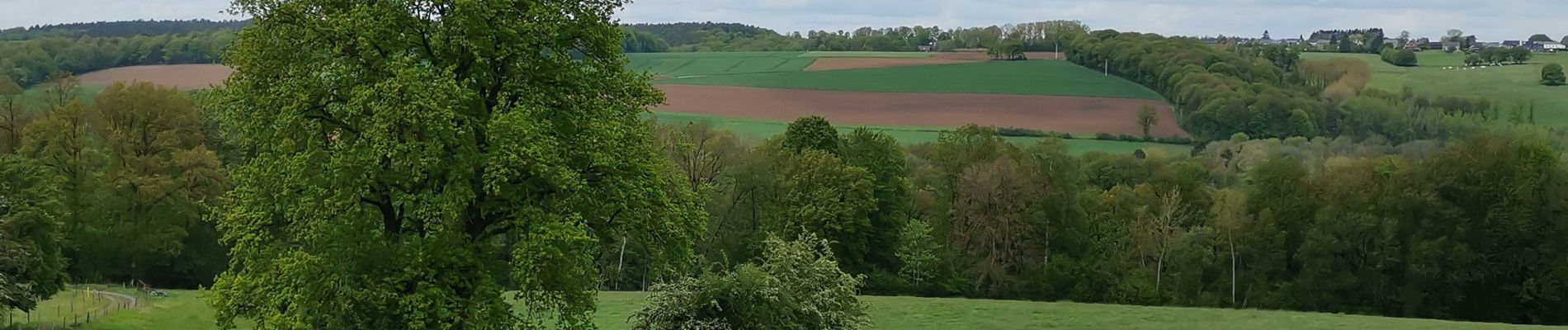 Randonnée V.T.T. Yvoir - DORINNE ... la vallée du Bocq. - Photo