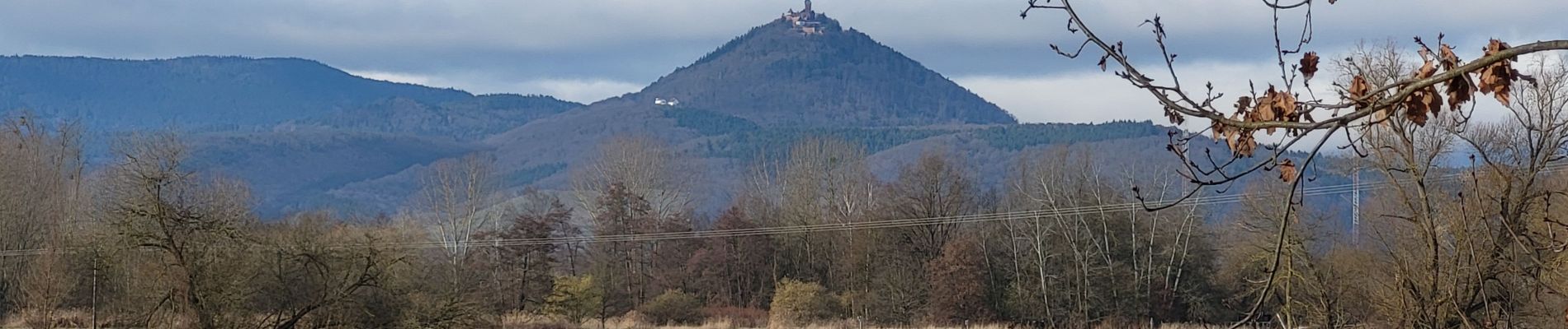 Randonnée Marche Sélestat - Sélestat : balade dans le Ried - Photo