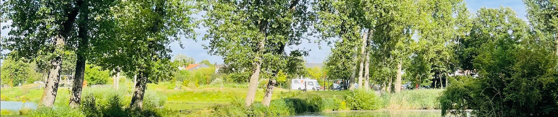 Randonnée Marche Landen - La réserve naturelle De Beemden à Landen - Photo