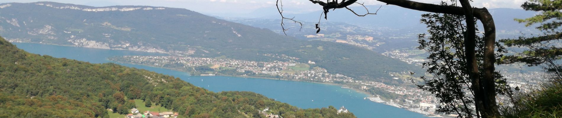 Tour Wandern La Chapelle-du-Mont-du-Chat - DENT DU CHAT & MOLARD NOIR - Photo