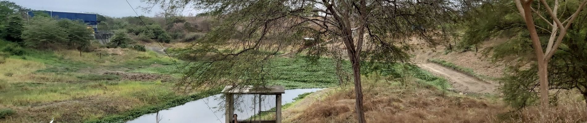 Tour Wandern Guayaquil - Parque Lago (Chongón) - Photo