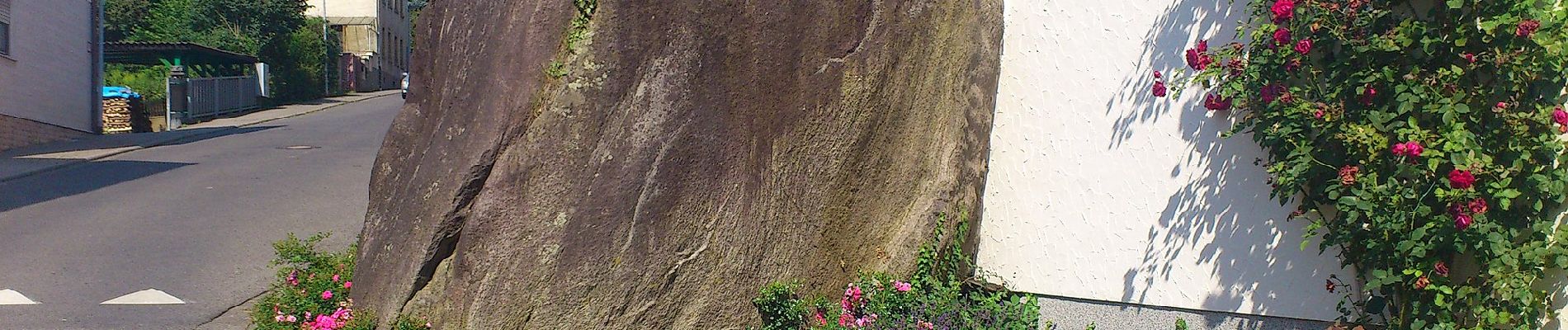 Randonnée A pied Hösbach - Großer Rundweg - Photo