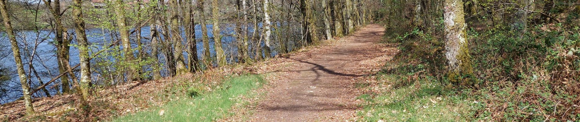 Randonnée Marche Razès - Saint-Pardoux - Tour du Lac - 7,5 km - Photo