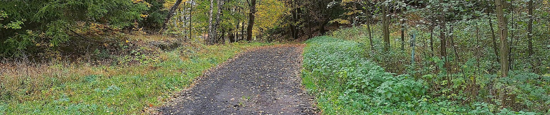 Tour Zu Fuß Sankt Joachimsthal - Lehrpfad Montanlandschaft des Erzgebirges - Photo