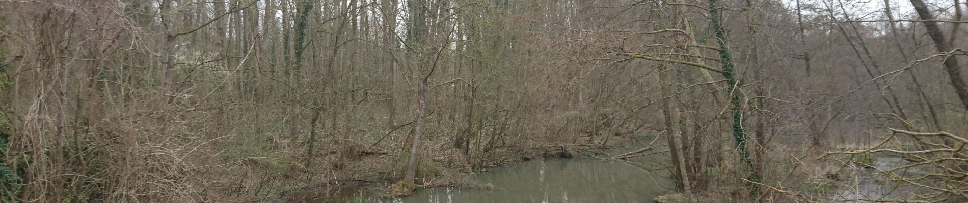 Trail Walking Moret-Loing-et-Orvanne - Moret sur Loing - Photo