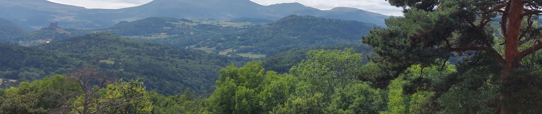 Trail Walking Saint-Nectaire - PETITE RANDO AUTOUR DU CAMPING DU VIGINET - Photo