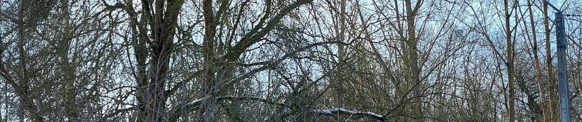 Randonnée Marche Fleurus - forêt des loisirs Fleurus - Photo