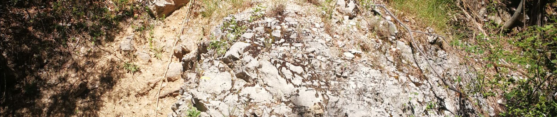 Randonnée Marche Saint-Léger-du-Ventoux - Boucle au dessus de St Léger du Ventoux - Photo