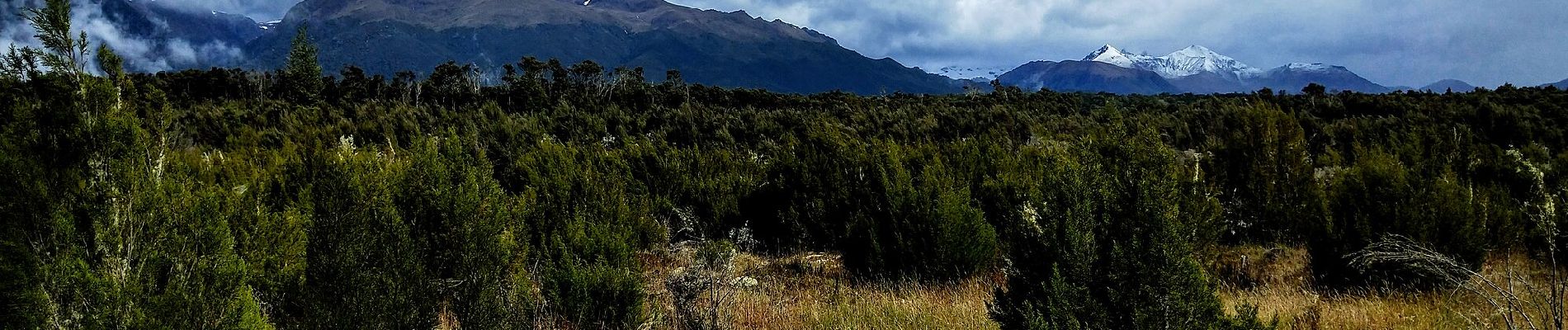 Tocht Te voet Fiordland Community - Borland Road to Lake Monowai Car Park - Photo