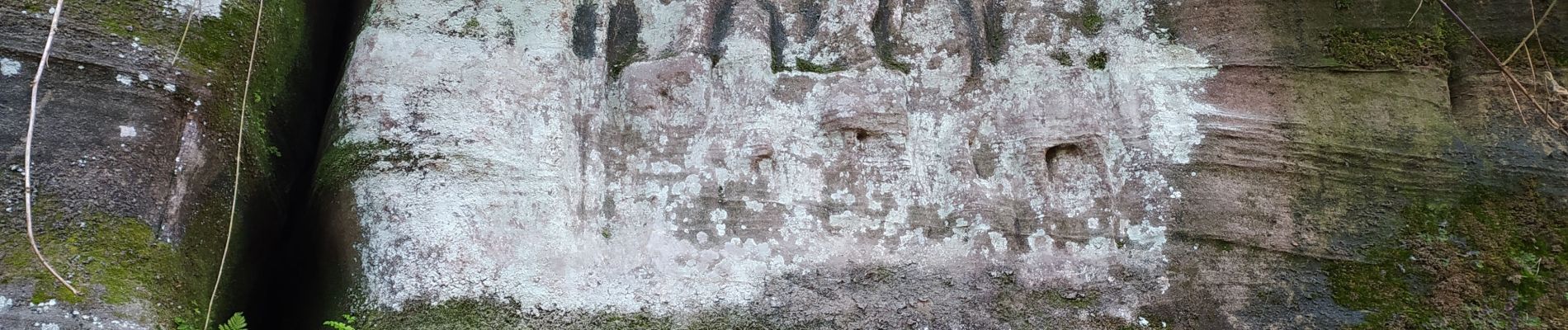 Randonnée Marche Roppeviller - altschlossfelsen - Photo