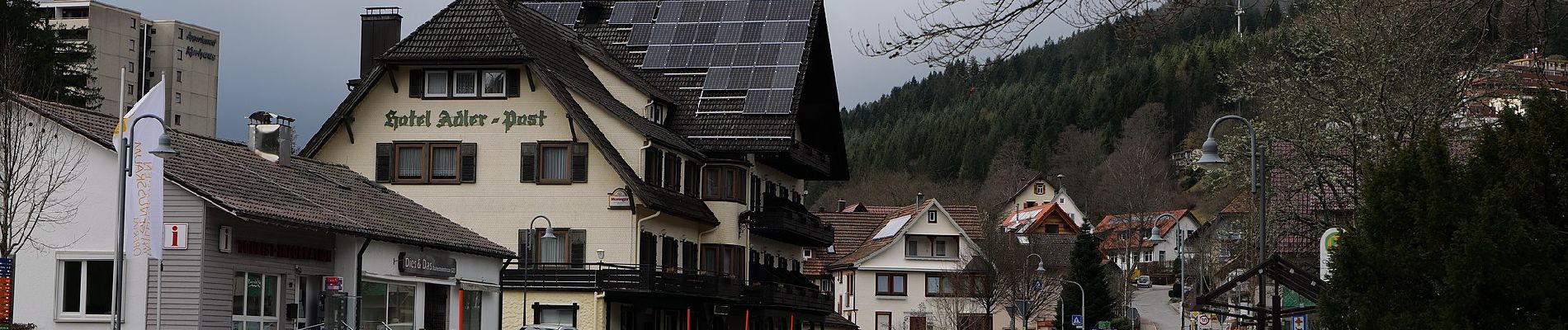 Tocht Te voet Baiersbronn - Obertal - Ruhestein - Photo