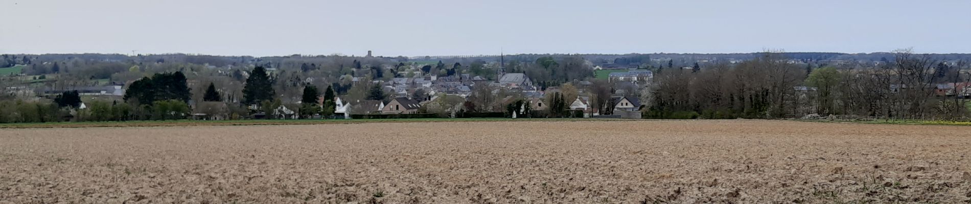 Percorso A piedi Gerpinnes - La forêt du Tournibus - Photo