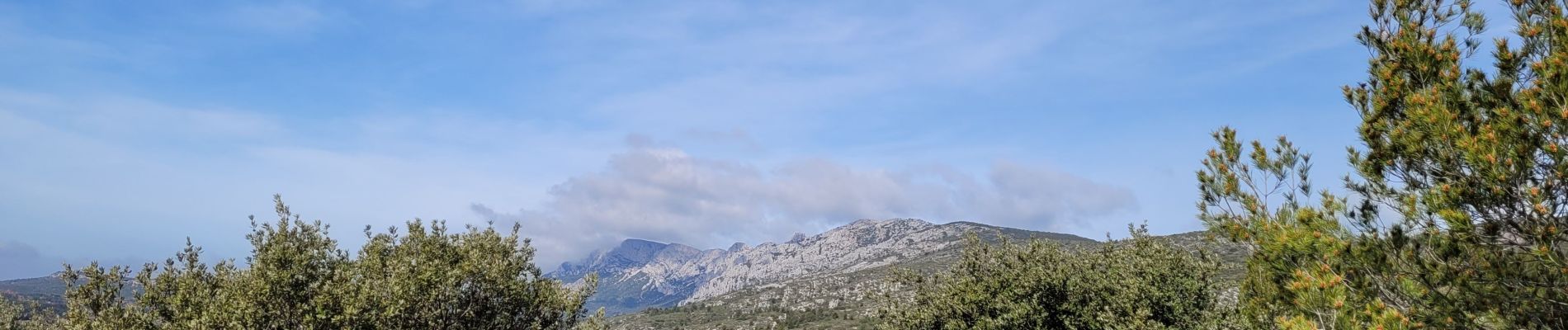 Tocht Stappen Puyloubier - Puyloubier le musée de la légion  - Photo