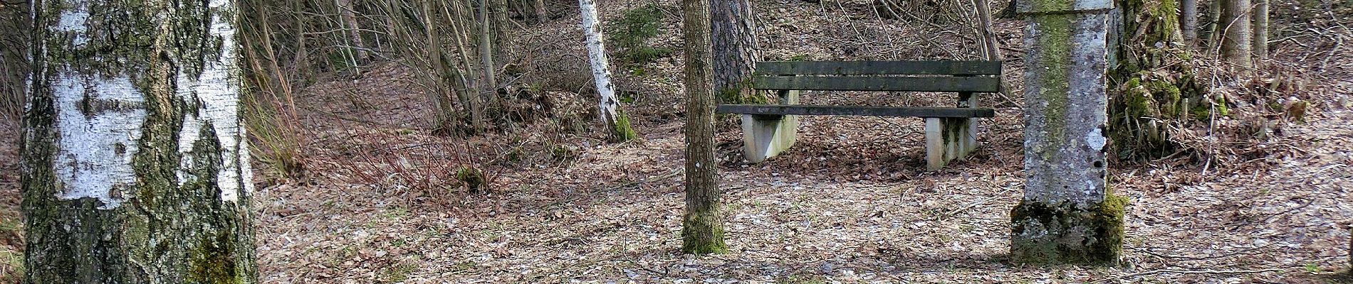 Tocht Te voet Pegnitz - Trockau Rundwanderweg Nr. 2 - Photo