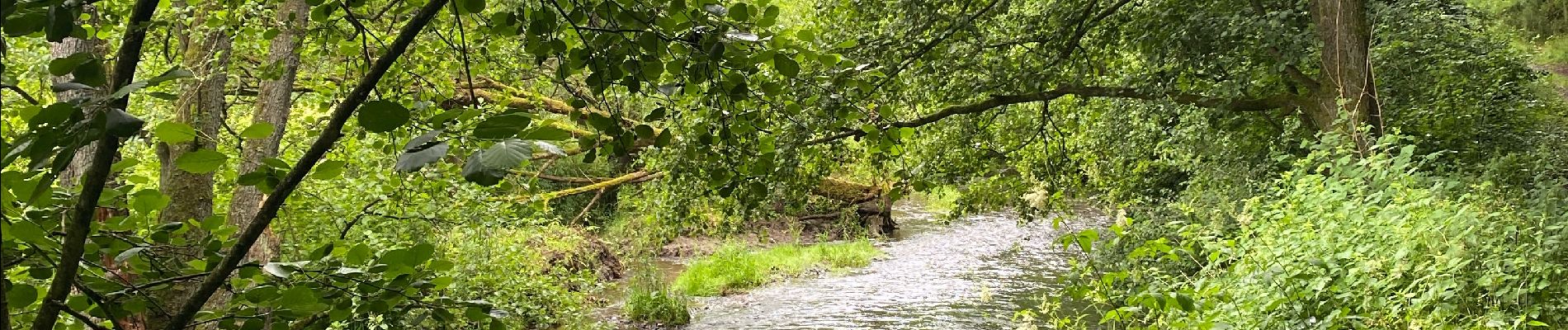 Tour Wandern Sainte-Ode - Lavacherie - Photo