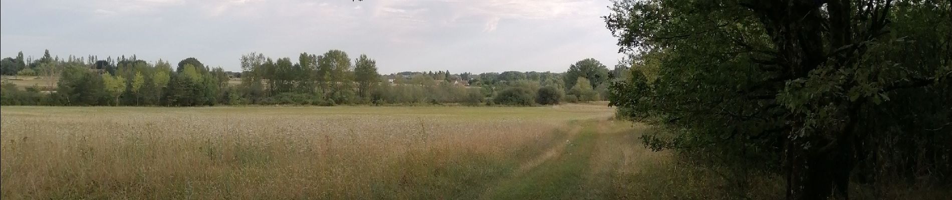 Tour Wandern Le Controis-en-Sologne - Feings 28.07.2022 - Photo