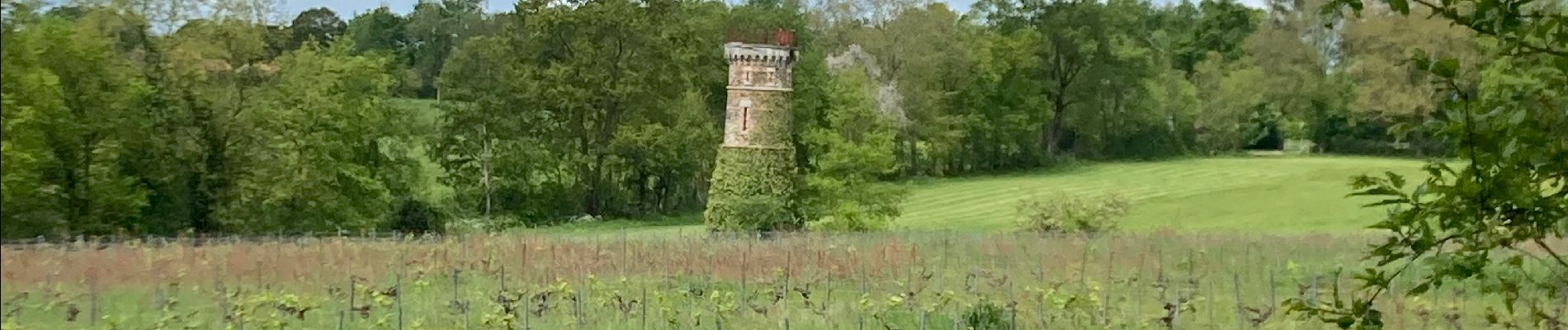 Randonnée Marche Le Cellier - Le cellier - Photo