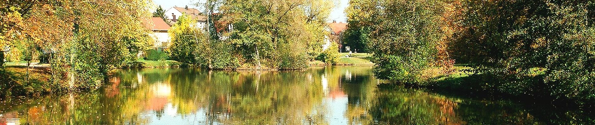 Tocht Te voet Hilpoltstein - Rund um Heuberg - Photo