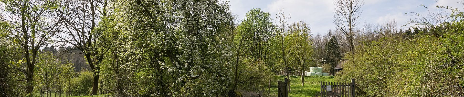 Tocht Te voet Altenbeken - Rundwanderweg A2 (Klusweg) - Photo