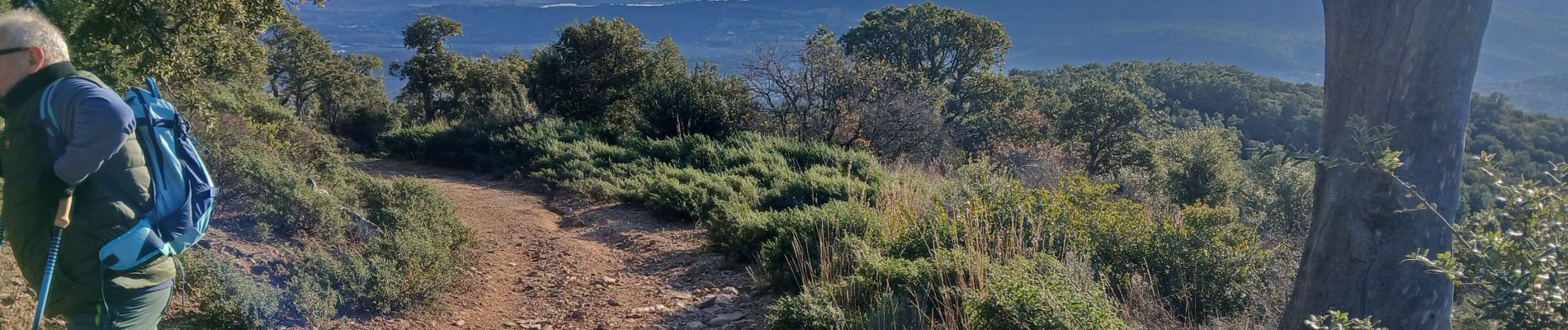 Randonnée Marche Roquebrune-sur-Argens - La Flûte  - Photo