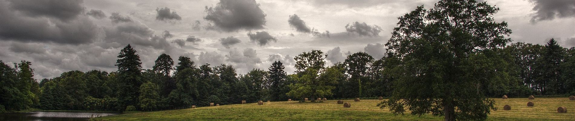 Trail On foot Vigneux-de-Bretagne - Le lapin bondissant - Photo