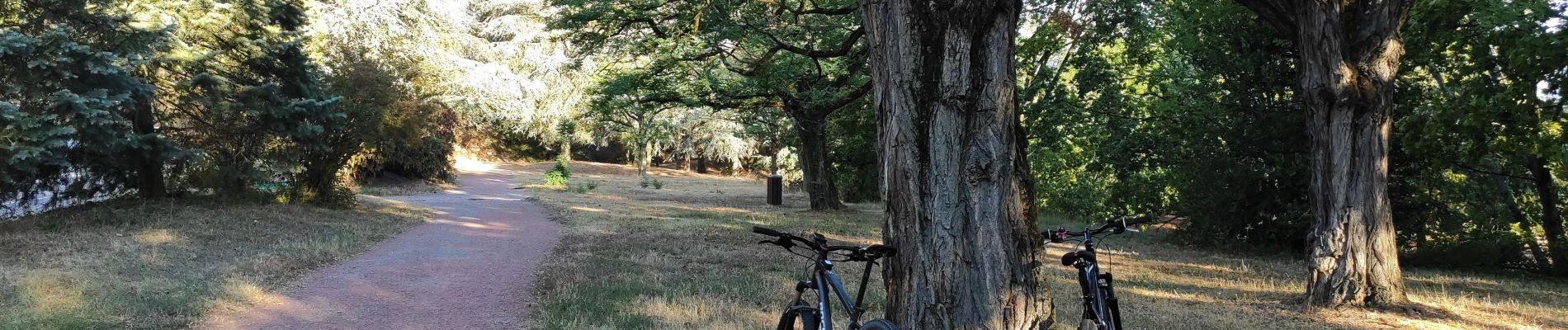 Trail Hybrid bike Saint-Priest - VTT - Saint Priest Mairie au Parc de Parilly - Photo