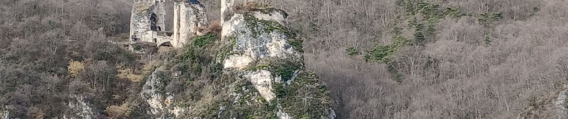 Tocht Stappen La Motte-Fanjas - Château de Rochechinard  - Photo