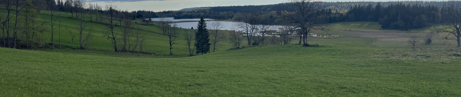 Randonnée Marche Chapelle-des-Bois - Tour du lac des Mortes - Photo