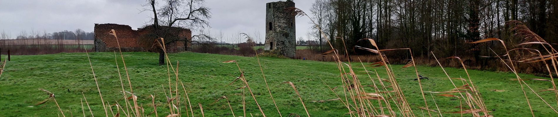 Trail Walking Péruwelz - CALLENELLE _ Marche Fédérale _ HAIT _ 8/01/2022 - Photo