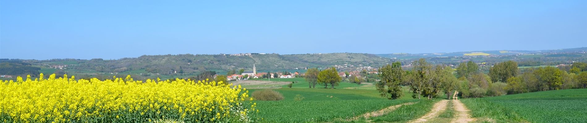 Excursión Senderismo Saint-Quintin-sur-Sioule - St_Quintin_Source_Charponne - Photo