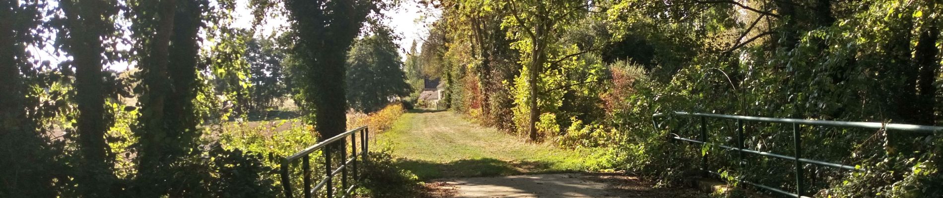 Tocht Mountainbike Saint-Valérien - Vallée de l'Orvane 1 - Photo