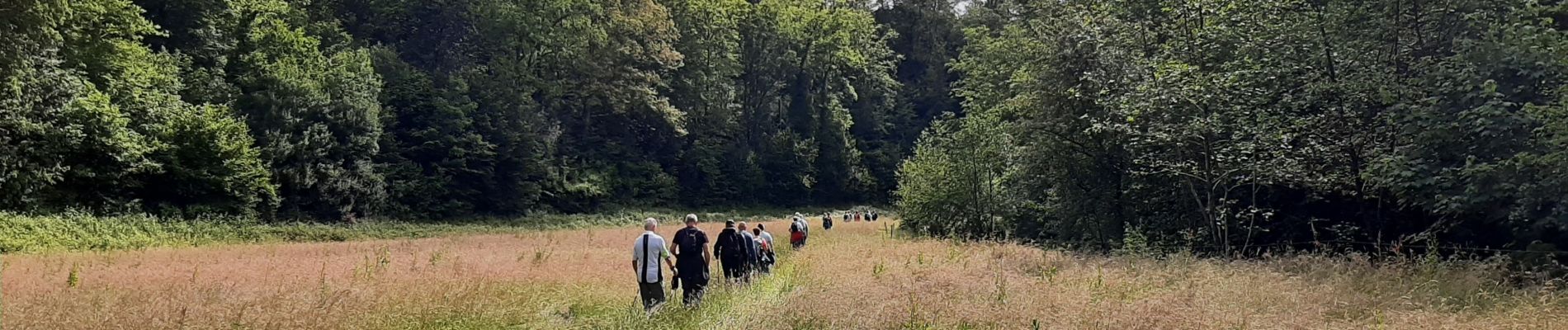 Excursión Marcha nórdica Doische - Vodelee 17 06 24 - Photo