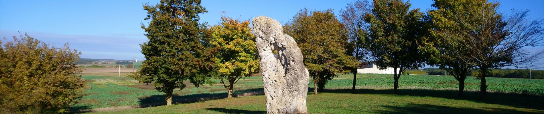 Excursión Senderismo Draché - Draché - GR655 Sainte-Maure-de-Touraine Marcé-sur-Esves - 26.4km 260m 6h00 (30mn) - 2022 10 08 - Photo