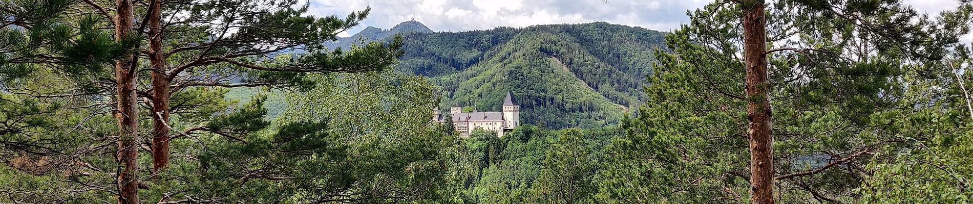 Tour Zu Fuß Gemeinde Prigglitz - Rundweg Silbersberg - Photo