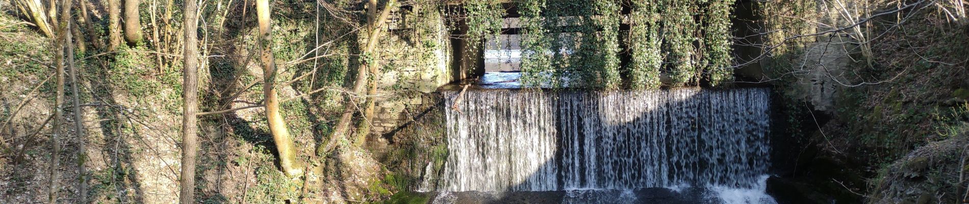 Excursión Senderismo Signy-le-Petit - Signy le petit  - Photo