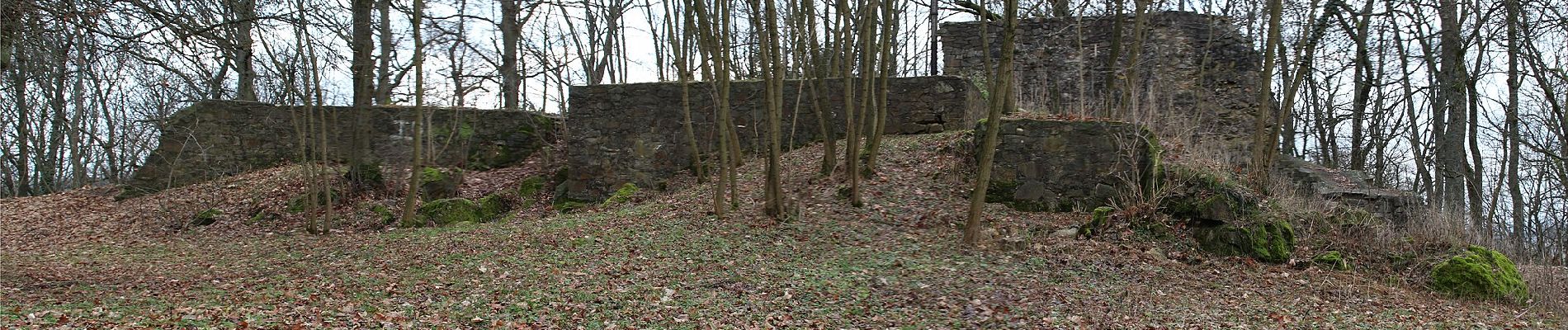 Tour Zu Fuß Gladenbach - Sebastian-Kneipp-Weg - Photo