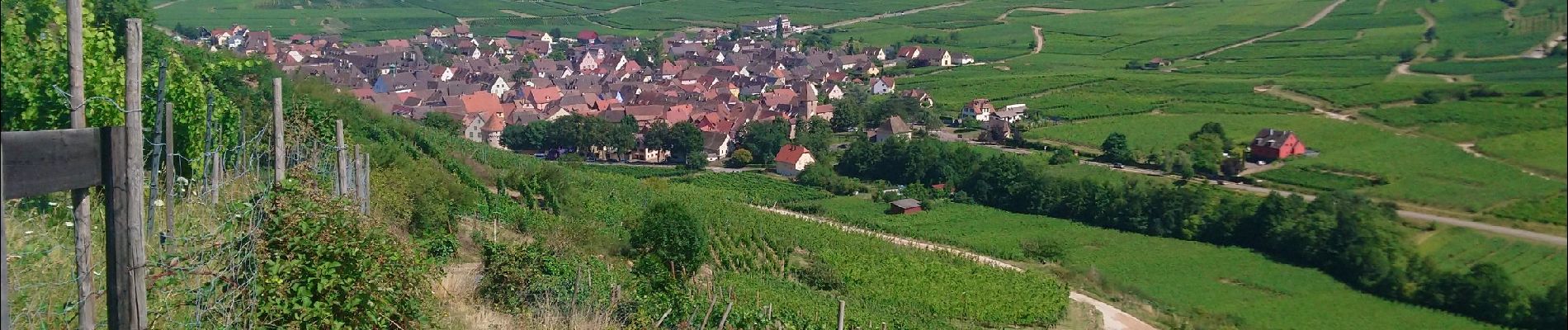 Excursión Senderismo Ammerschwihr - Ammerschwihr /Kaysersberg par les collines  - Photo