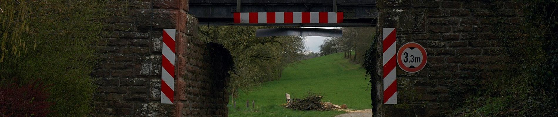 Percorso A piedi Helmstadt-Bargen - Rundwanderweg Helmstadt 1: Flinsbach-Weg - Photo