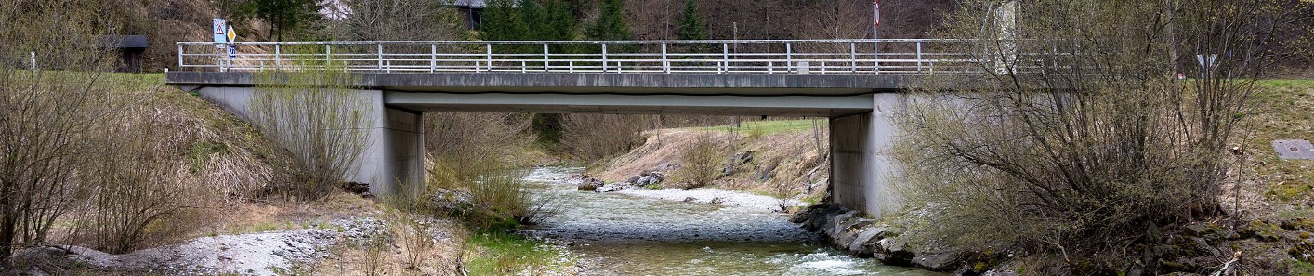 Percorso A piedi Gemeinde Schwarzau im Gebirge - Schnellerwagsteig - Photo