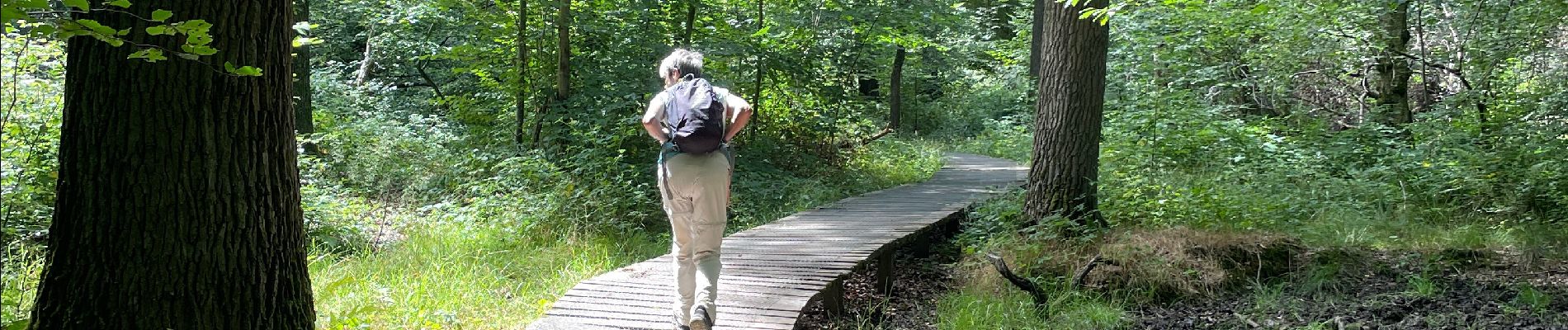 Tocht Stappen Ohey - Variante petit pont bois d’Ohey - Photo