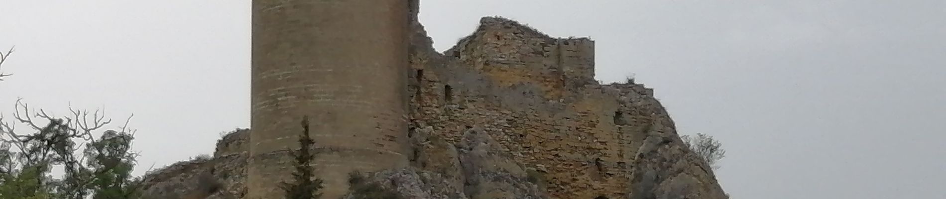 Randonnée Marche Châteauneuf-du-Pape - les bords du Rhône  - Photo