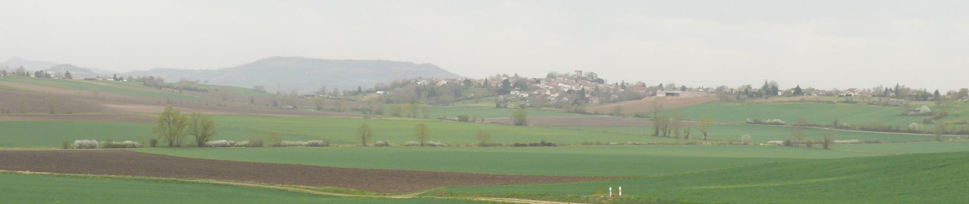 Tocht Stappen Beauregard-l'Évêque - beauregard-lEveque - Photo