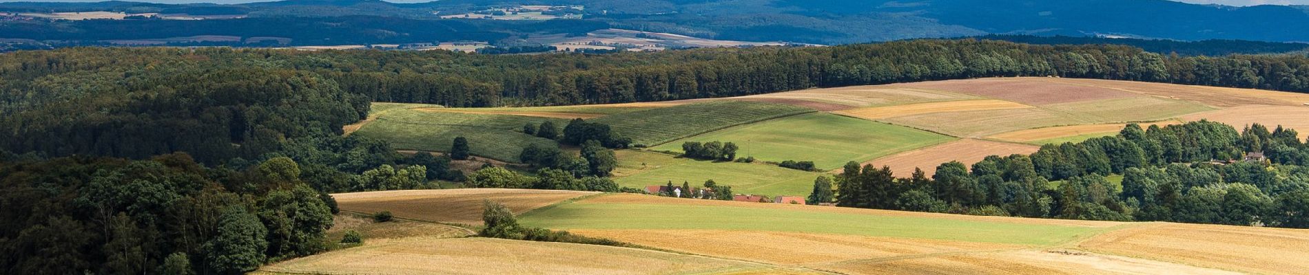 Tour Zu Fuß Homberg (Ohm) - GeoTour Felsenmeer - Photo