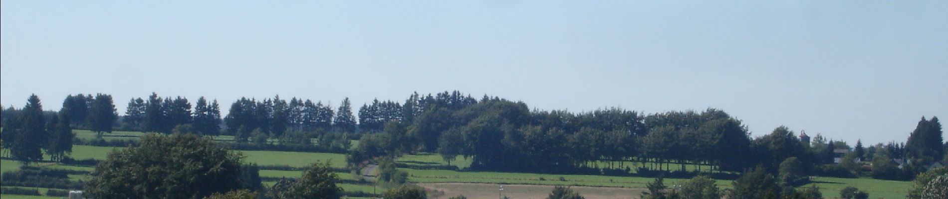 Tour Zu Fuß Büllingen - GrWandArd 15 Büchholz de pracht van het NP Eifel - Photo