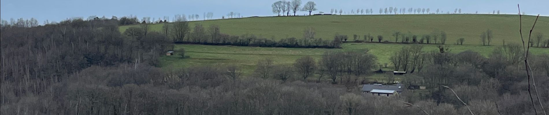 Randonnée Marche Olne - H Forêt Olno H - Photo