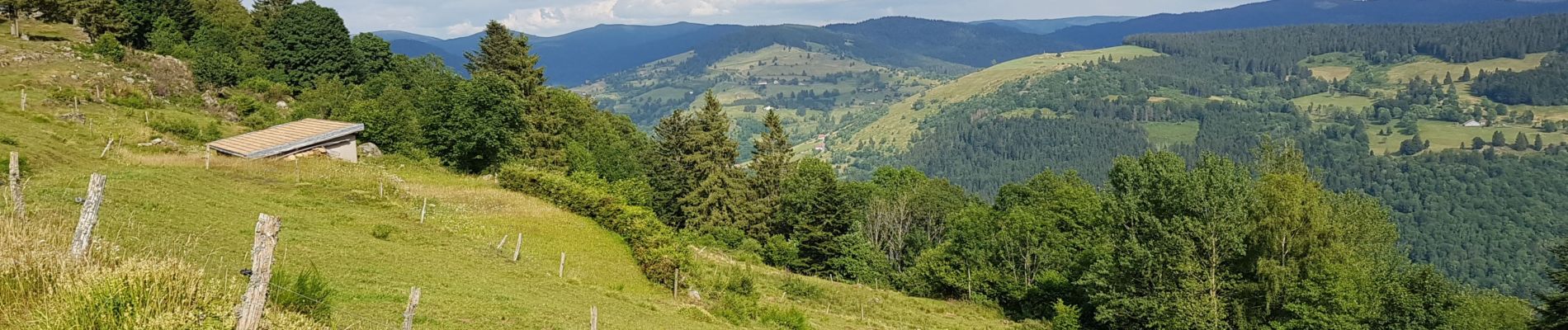 Randonnée Vélo électrique La Bresse - la bresse - piquante pierre - col de la burotte - Photo