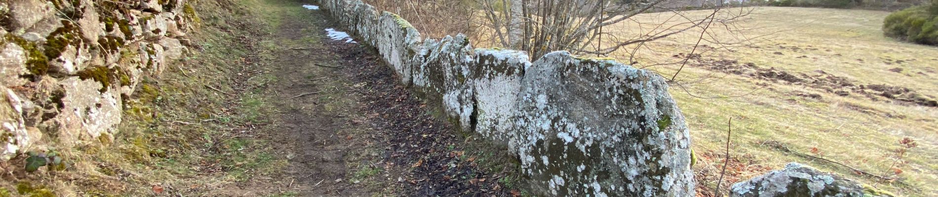 Tocht Stappen Le Pla - Mijanès Montferrant  - Photo