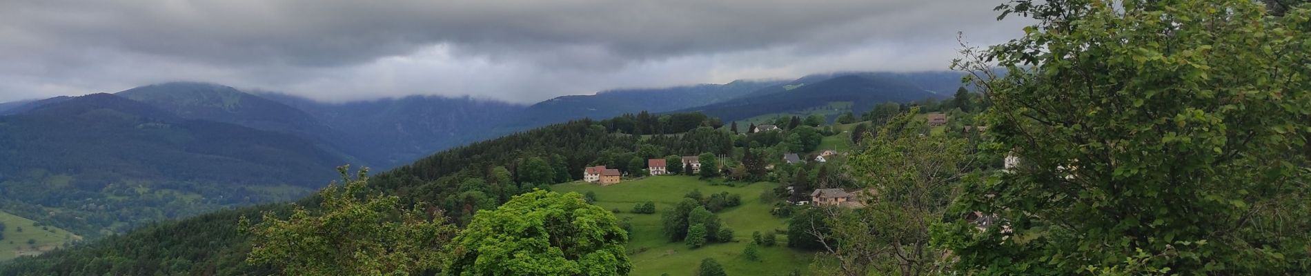 Trail Walking Hohrod - Hohrodberg Munster  - Photo