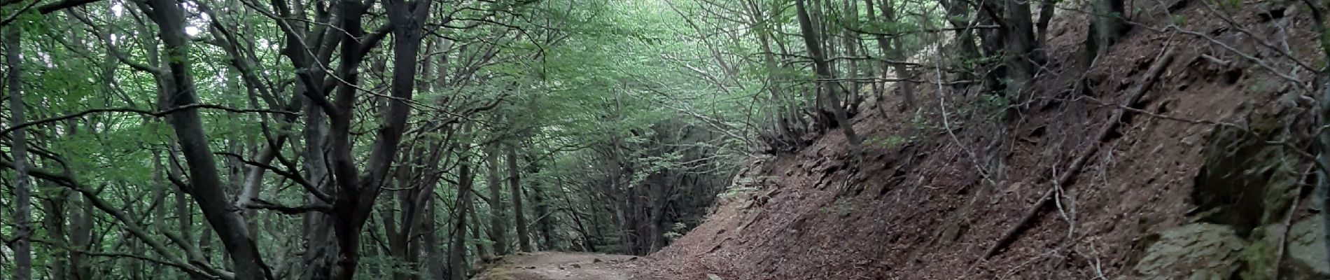 Excursión Senderismo L'Albère - col de l ullat . puig d orella . puîg sant cristau . col de l ullat - Photo